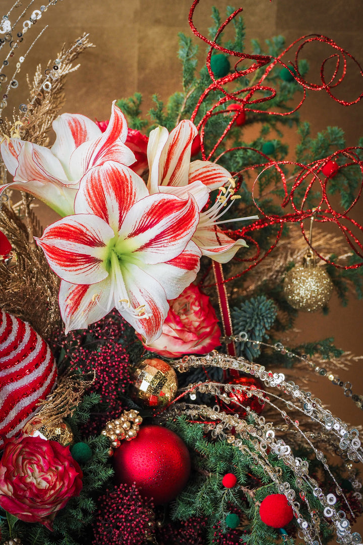 ❆ Christmas | Jolly