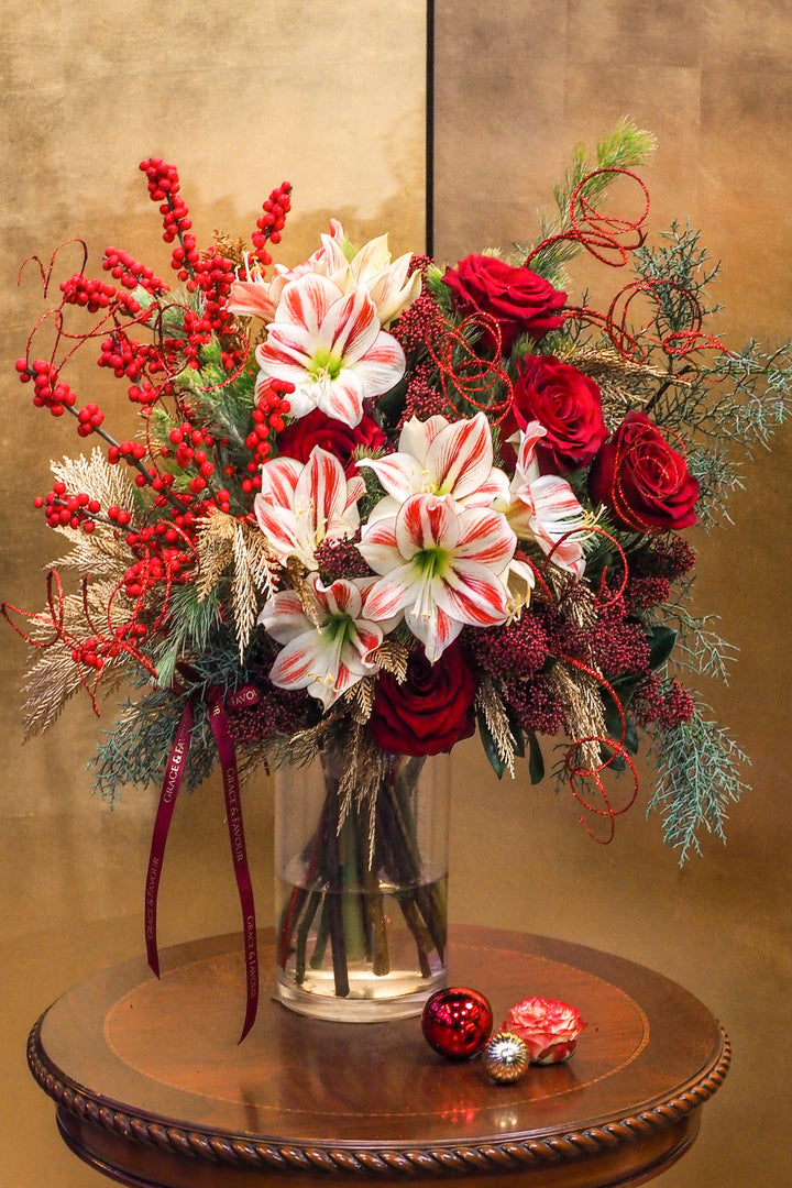 ❆ Christmas | Holly