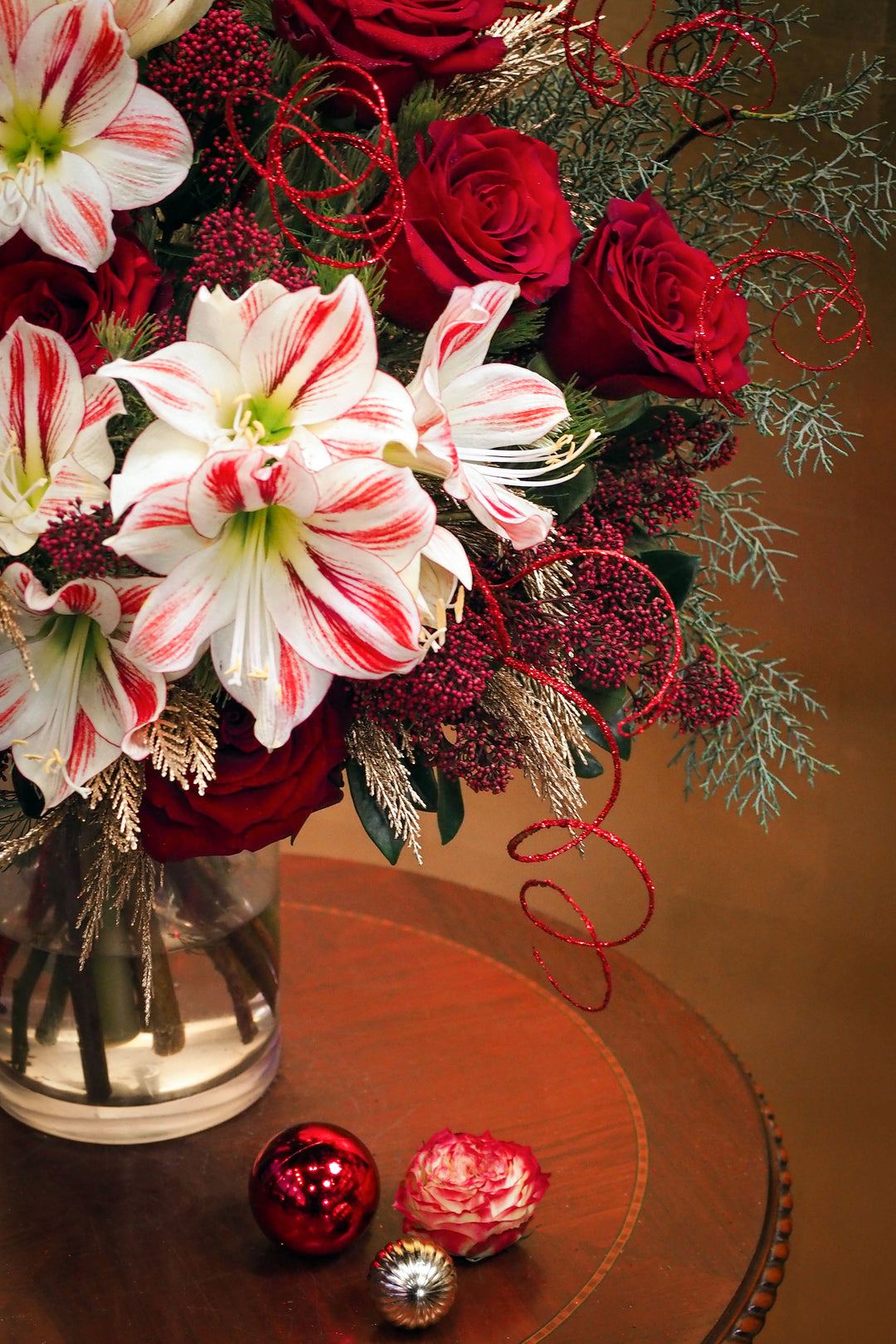 ❆ Christmas | Holly