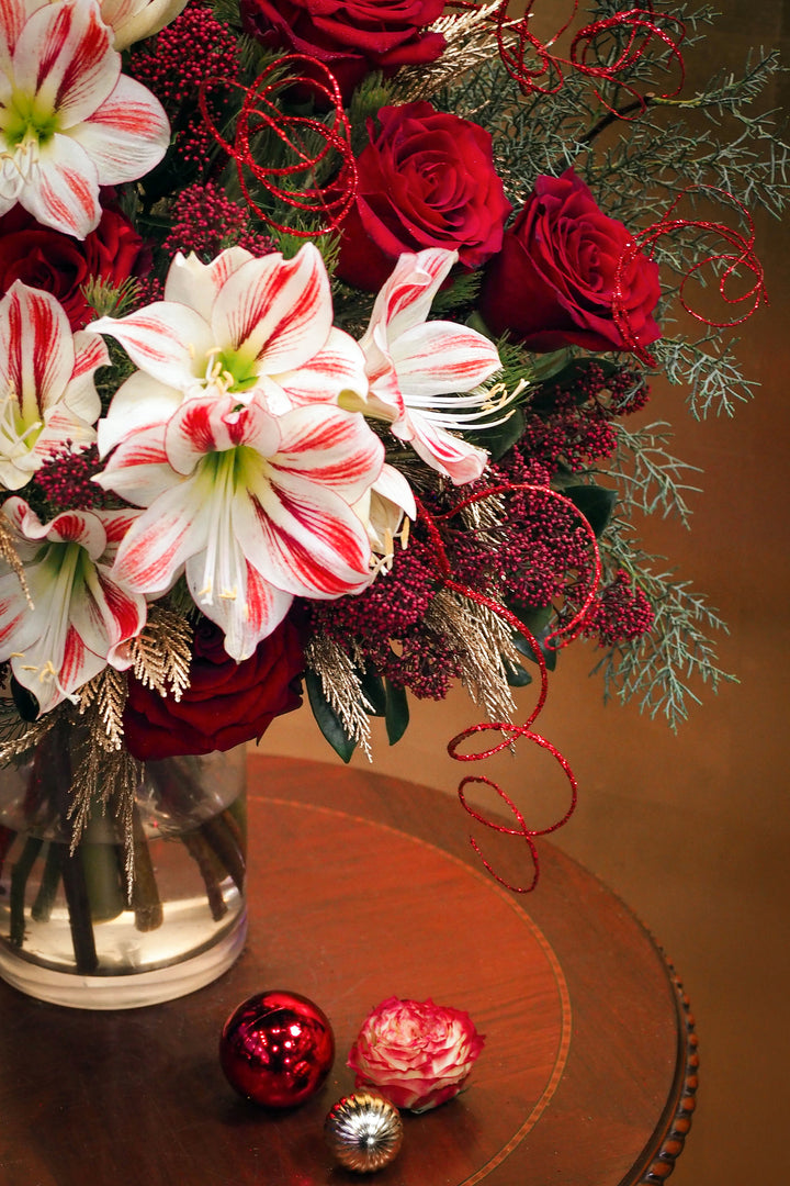 ❆ Christmas | Holly