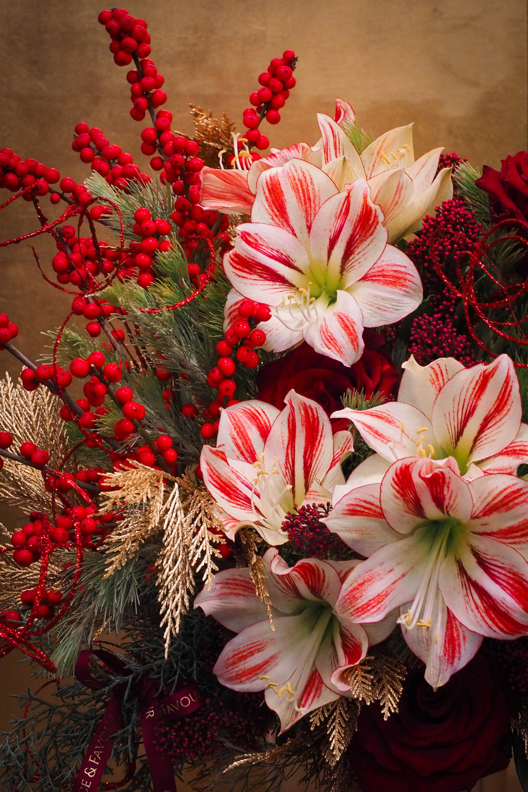 ❆ Christmas | Holly