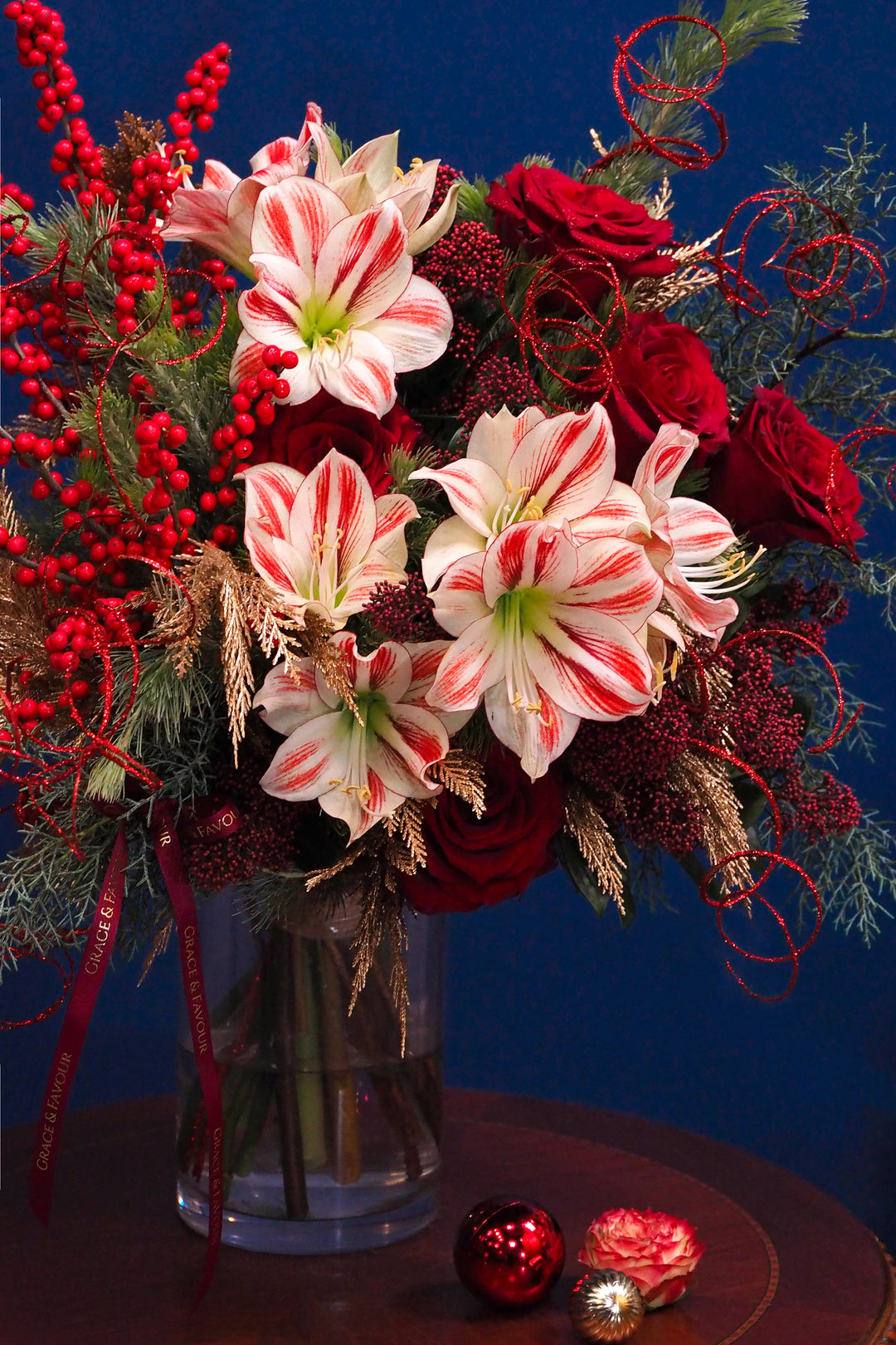 ❆ Christmas | Holly