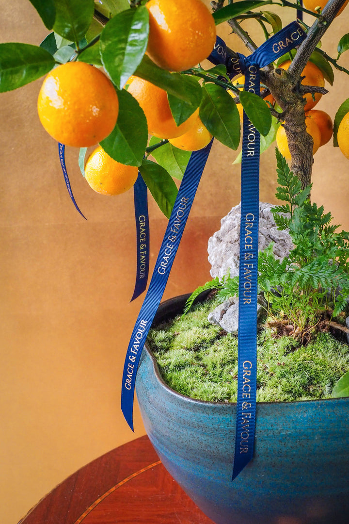 新春限定｜碩果累累