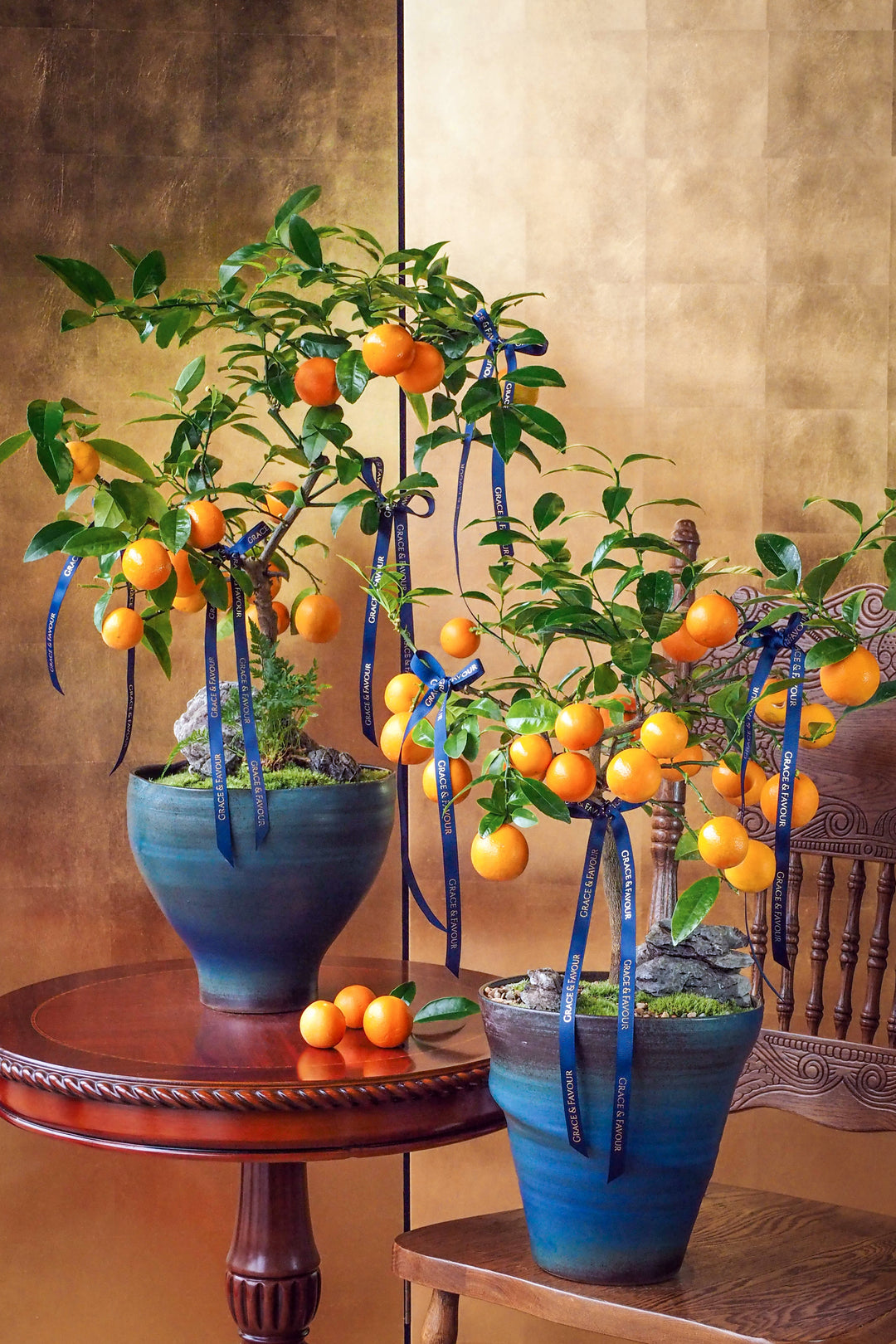 新春限定｜碩果累累