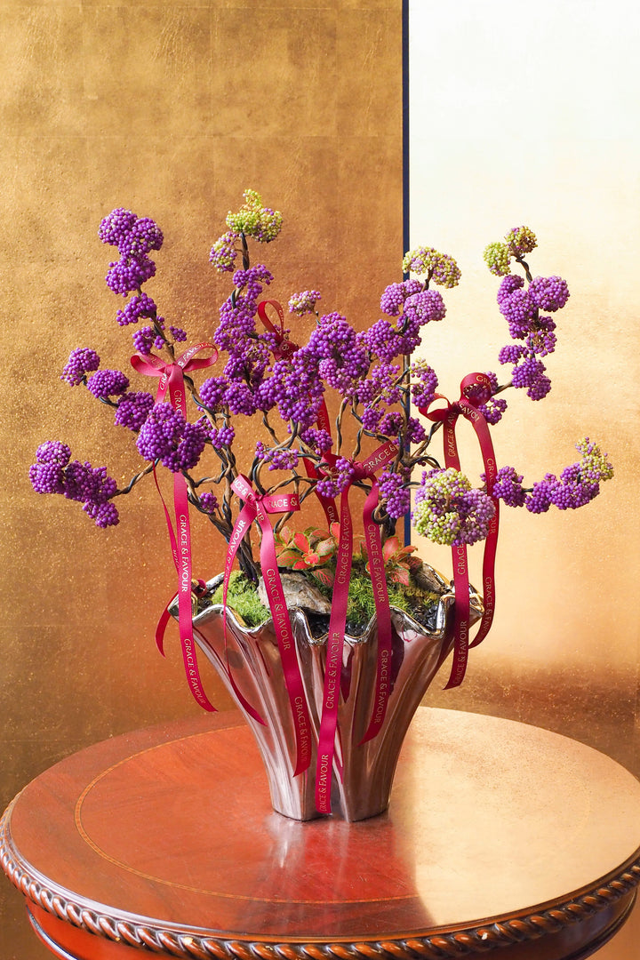 新春限定｜紫珠納福