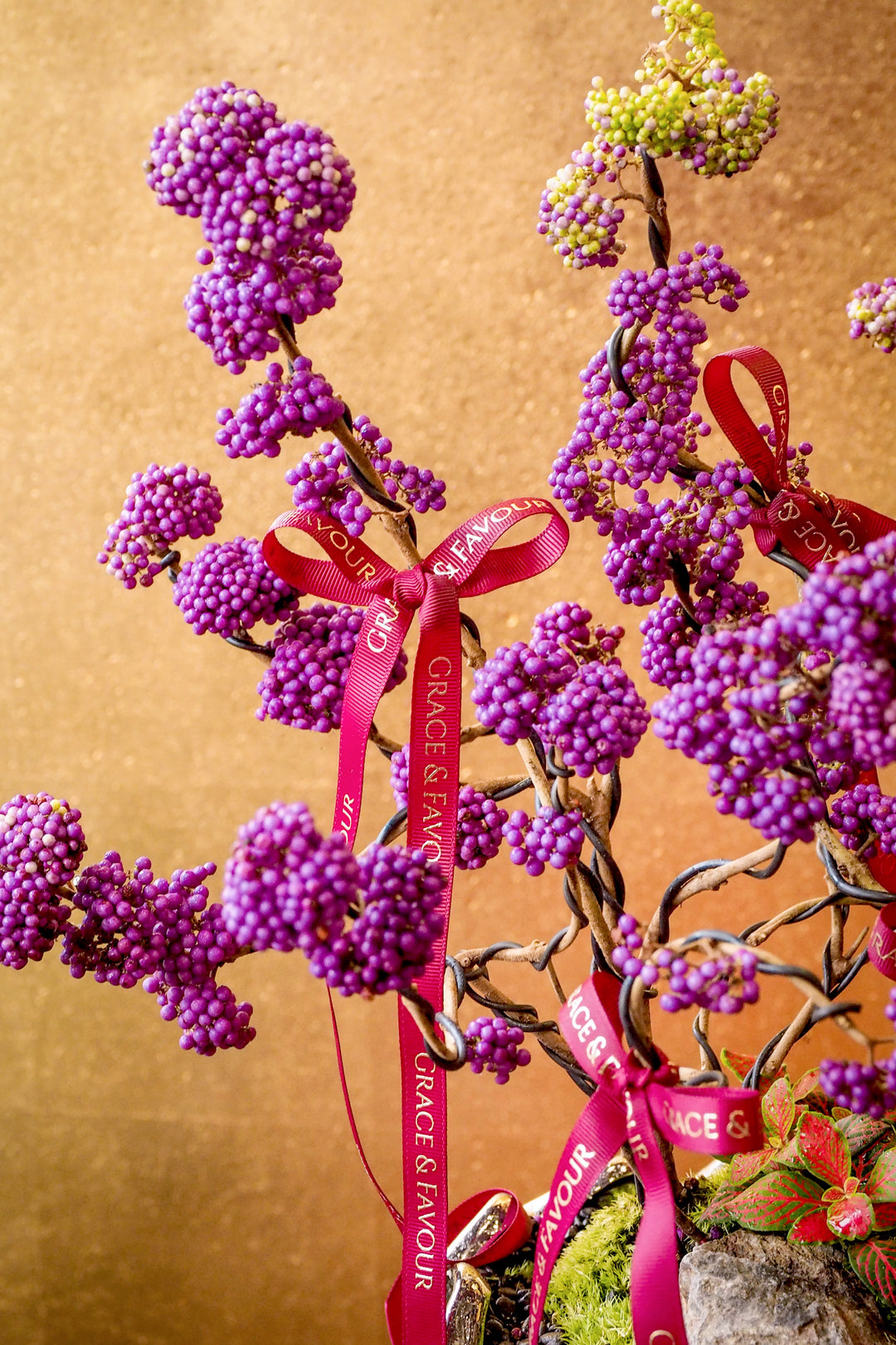 新春限定｜紫珠納福