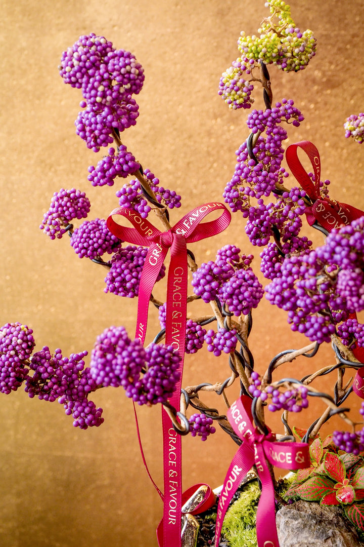 新春限定｜紫珠納福