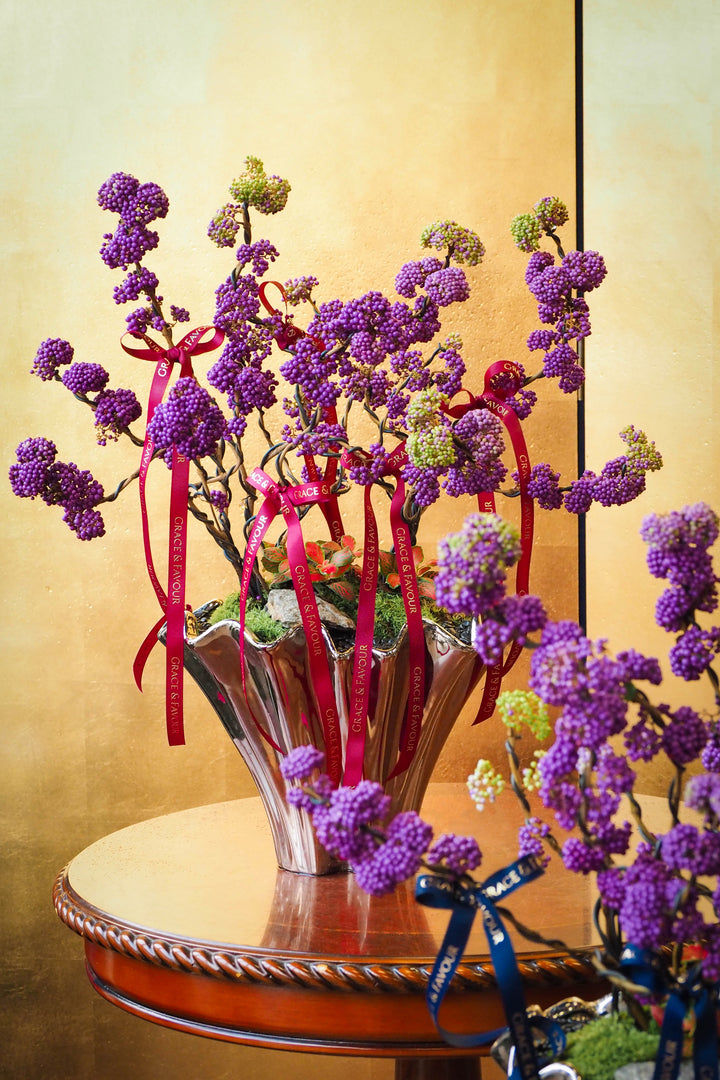 新春限定｜紫珠納福