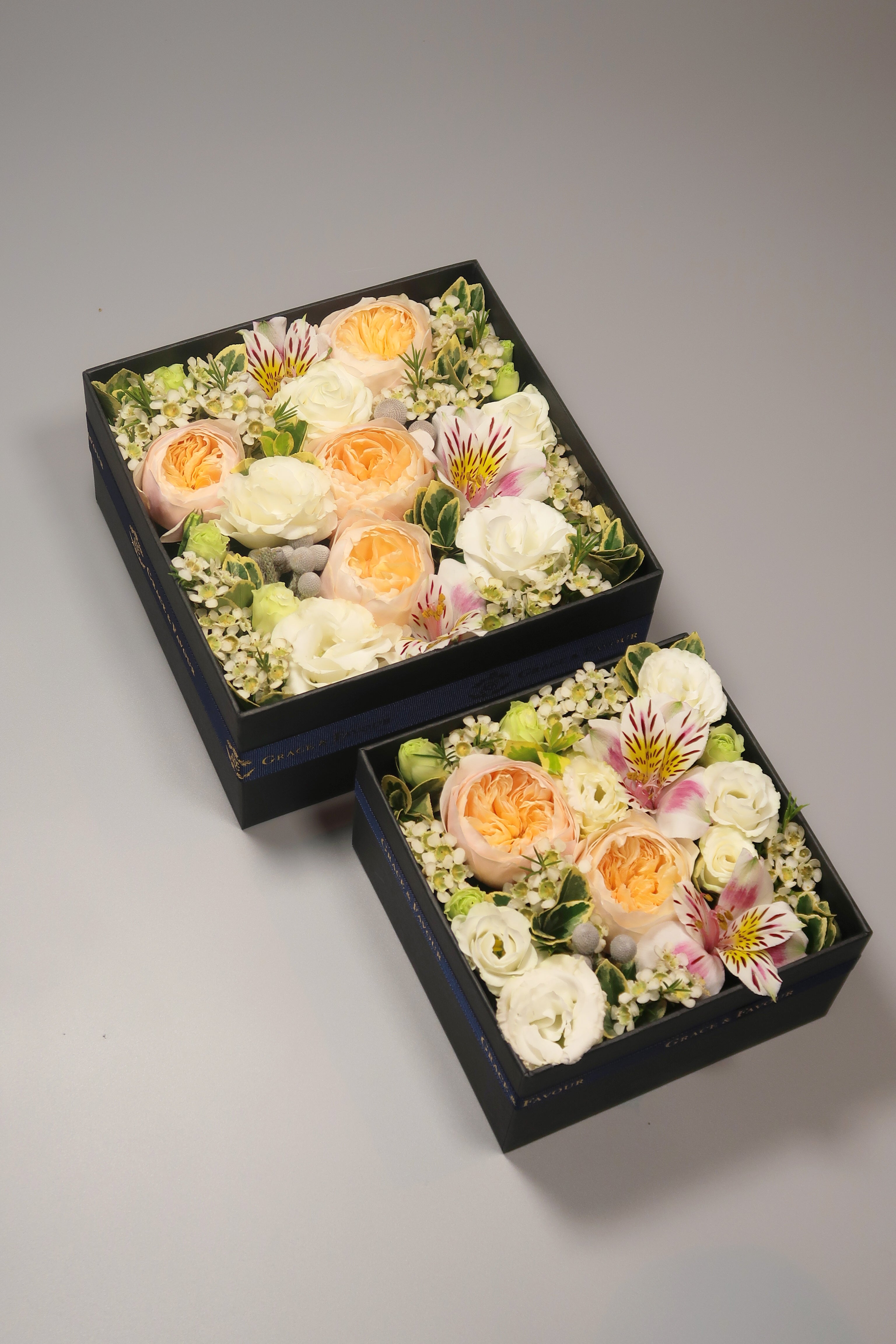 Grace & Favour - Blooms - Flower Boxes - Verona