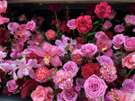 將圖片載入圖庫檢視器 Grace &amp; Favour - Blooms - Trunk Surprise - Royal
