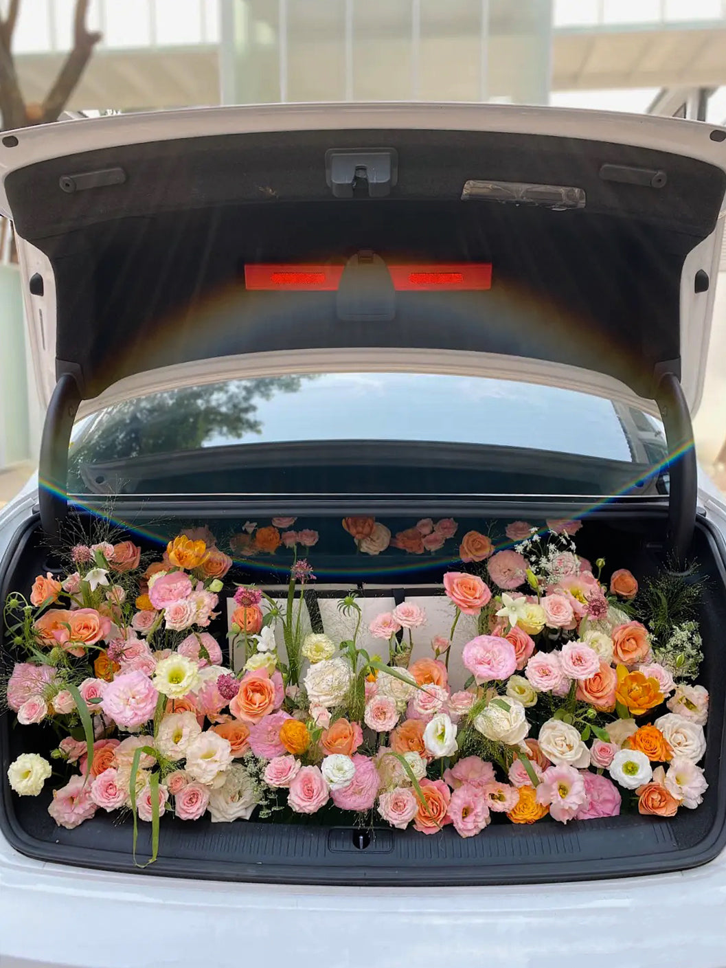 Grace & Favour - Blooms - Trunk Surprise - Coral
