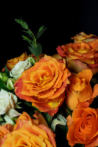 Grace & Favour - Blooms - Flower Bouquets - Fanta